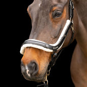 Imperial Riding Capezzina IRHLuxury Nero Imperial Riding Capezzina IRHLuxury Nero