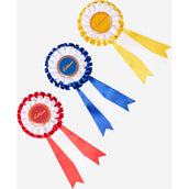 LeMieux Cavallo da hobby LeMieux Cavallo da hobby