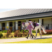 LeMieux Sottosella Mini Suede Close Contact Square saltando Mallow LeMieux Sottosella Mini Suede Close Contact Square saltando Mallow