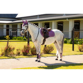 LeMieux Sottosella Mini Suede Close Contact Square saltando Mallow LeMieux Sottosella Mini Suede Close Contact Square saltando Mallow