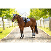 LeMieux Sottosella Loire Classic Square Uso generale Powder Blue LeMieux Sottosella Loire Classic Square Uso generale Powder Blue