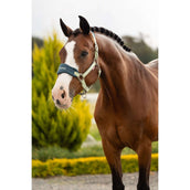 LeMieux Set Cavezza Vogue Macaron LeMieux Set Cavezza Vogue Macaron