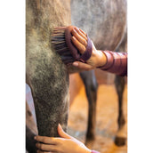 LeMieux Spazzola Flexi Flicky Powder Blue LeMieux Spazzola Flexi Flicky Powder Blue