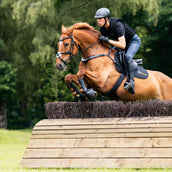 Kavalkade Pettorale Jerome 2-Punti Nero Kavalkade Pettorale Jerome 2-Punti Nero