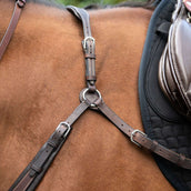 Kavalkade Pettorale Jerome 2-Punti Marrone Kavalkade Pettorale Jerome 2-Punti Marrone