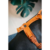 Kentucky Dogwear Imbracatura Active Velvet Arancia Kentucky Dogwear Imbracatura Active Velvet Arancia