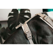 Kentucky Dogwear Imbracatura Active Velvet Beige Kentucky Dogwear Imbracatura Active Velvet Beige