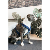 Kentucky Dogwear Imbracatura Active Velvet Navy Kentucky Dogwear Imbracatura Active Velvet Navy