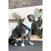 Kentucky Dogwear Imbracatura Active Velvet Navy Kentucky Dogwear Imbracatura Active Velvet Navy