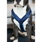 Kentucky Dogwear Imbracatura Active Velvet Navy Kentucky Dogwear Imbracatura Active Velvet Navy