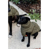 Kentucky Dogwear Coperta per Cani Winter Pina 160 g Pine Green Kentucky Dogwear Coperta per Cani Winter Pina 160 g Pine Green