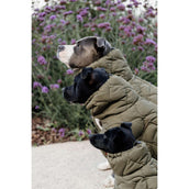 Kentucky Dogwear Coperta per Cani Winter Pina 160 g Pine Green Kentucky Dogwear Coperta per Cani Winter Pina 160 g Pine Green