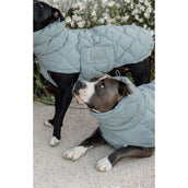 Kentucky Horsewear Coperta per Cani Winter Pina 160g Dusty Blue Kentucky Horsewear Coperta per Cani Winter Pina 160g Dusty Blue