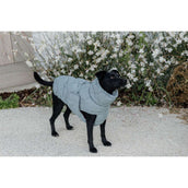 Kentucky Horsewear Coperta per Cani Winter Pina 160g Dusty Blue Kentucky Horsewear Coperta per Cani Winter Pina 160g Dusty Blue