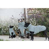 Kentucky Horsewear Coperta per Cani Winter Pina 160g Dusty Blue Kentucky Horsewear Coperta per Cani Winter Pina 160g Dusty Blue