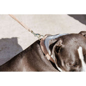 Kentucky Dogwear Halsband Teddy Fleece Rosa antico Kentucky Dogwear Halsband Teddy Fleece Rosa antico