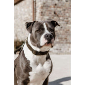 Kentucky Dogwear Halsband Teddy Fleece Pine Green Kentucky Dogwear Halsband Teddy Fleece Pine Green