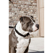 Kentucky Dogwear Halsband Teddy Fleece Nero Kentucky Dogwear Halsband Teddy Fleece Nero