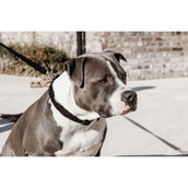 Kentucky Dogwear Halsband Teddy Fleece Nero Kentucky Dogwear Halsband Teddy Fleece Nero