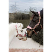 Kentucky Horsewear Capezzina Velvet Glitter Unicorn Rosa antico Kentucky Horsewear Capezzina Velvet Glitter Unicorn Rosa antico