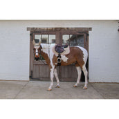 Kentucky Horsewear Sottosella Softshell Onion Quilt saltando Beige/Rosa antico Kentucky Horsewear Sottosella Softshell Onion Quilt saltando Beige/Rosa antico