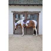 Kentucky Horsewear Sottosella Softshell Onion Quilt saltando Viola chiaro/Rosa chiaro Kentucky Horsewear Sottosella Softshell Onion Quilt saltando Viola chiaro/Rosa chiaro