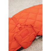 Kentucky Coperta per Cani Winter Pina Arancia Kentucky Coperta per Cani Winter Pina Arancia