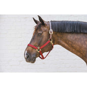 Kentucky Horsewear Capezzina Nylon Breakaway Bordeaux Kentucky Horsewear Capezzina Nylon Breakaway Bordeaux