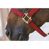 Kentucky Horsewear Capezzina Nylon Breakaway Bordeaux Kentucky Horsewear Capezzina Nylon Breakaway Bordeaux