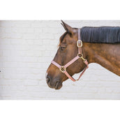 Kentucky Horsewear Capezzina Nylon Breakaway Rosa antico Kentucky Horsewear Capezzina Nylon Breakaway Rosa antico