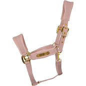 Kentucky Capezzina Velvet Soft Rose Kentucky Capezzina Velvet Soft Rose