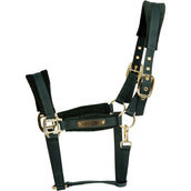 Kentucky Capezzina Velvet Pine Green Kentucky Capezzina Velvet Pine Green