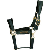 Kentucky Capezzina Velvet Pine Green Kentucky Capezzina Velvet Pine Green