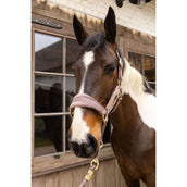 Kentucky Capezzina Velvet Viola chiaro Kentucky Capezzina Velvet Viola chiaro