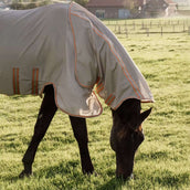 Kentucky Horsewear Coperta Antimosche Comfort Mesh Beige/Arancione Kentucky Horsewear Coperta Antimosche Comfort Mesh Beige/Arancione