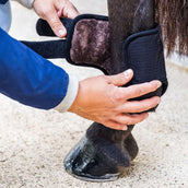 Kentucky Horsewear Stivali da completo 3D Air Flow Delicato sulla pelle Short Hind Nero Kentucky Horsewear Stivali da completo 3D Air Flow Delicato sulla pelle Short Hind Nero