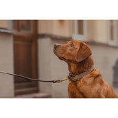 Kentucky Horsewear Collare Beige Kentucky Horsewear Collare Beige