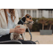 Kentucky Dogwear Collare per Cane Soft Vegan Leather Blu marino/beige Kentucky Dogwear Collare per Cane Soft Vegan Leather Blu marino/beige