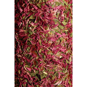 Grooming Deluxe by Kentucky Rilassa il cavallo giocattolo Wooden De-Stress Grooming Deluxe by Kentucky Rilassa il cavallo giocattolo Wooden De-Stress