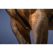 Dyon Pettorina Bridge New English Collection Marrone Dyon Pettorina Bridge New English Collection Marrone