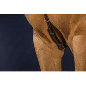 Dyon Pettorina Bridge Working by Dyon Marrone Dyon Pettorina Bridge Working by Dyon Marrone