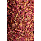 Grooming Deluxe by Kentucky Rilassa il cavallo giocattolo Wooden Freedom Grooming Deluxe by Kentucky Rilassa il cavallo giocattolo Wooden Freedom