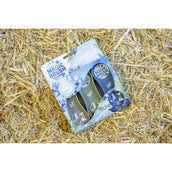 Magic Brush Impostato Fiordalisi Magic Brush Impostato Fiordalisi