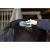 Magic Brush Impostato Fiordalisi Magic Brush Impostato Fiordalisi