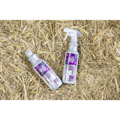 Magic Brush Shampoo OrientalNights Magic Brush Shampoo OrientalNights