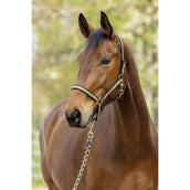 Covalliero Capezzina SS26 Nero/Noce Covalliero Capezzina SS26 Nero/Noce