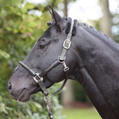 Kerbl Capezzina Cordano Oliva Kerbl Capezzina Cordano Oliva