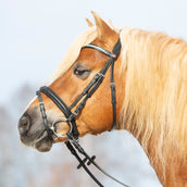 Kieffer Briglia Ultrasoft Haflinger Nero/Bianche Pietre Kieffer Briglia Ultrasoft Haflinger Nero/Bianche Pietre