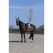 Kingsland Sottosella KLLucca Cooling saltando Green Agave Kingsland Sottosella KLLucca Cooling saltando Green Agave