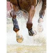 LeMieux Parastinchi MIMsafe XC Anteriori Nero LeMieux Parastinchi MIMsafe XC Anteriori Nero